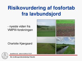 Risikovurdering af fosfortab fra lavbundsjord