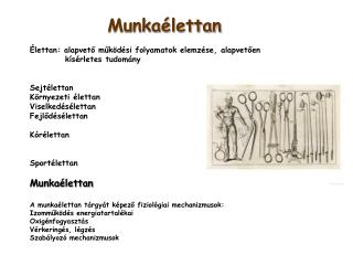 Munkaélettan