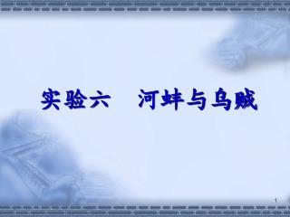实验六 河蚌与乌贼