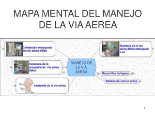 MAPA MENTAL DEL MANEJO DE LA VIA AEREA