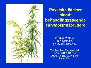 Psykiske lidelser blandt behandlingssøgende cannabismisbrugere