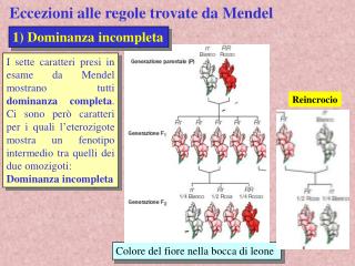 Eccezioni alle regole trovate da Mendel