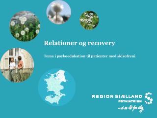 Relationer og recovery Tema i psykoedukation til patienter med skizofreni