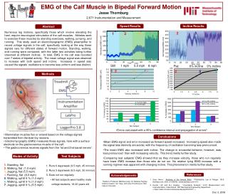 EMG of the Calf Muscle in Bipedal Forward Motion . Jesse Thornburg