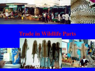 Trade in Wildlife Parts