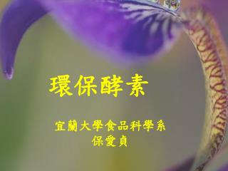 環保酵素
