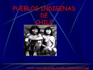 PUEBLOS INDIGENAS DE CHILE