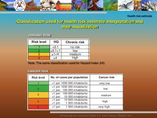 Classification used for health risk estimate interpretation and map visualization