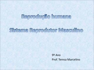 Reprodução humana Sistema Reprodutor Masculino