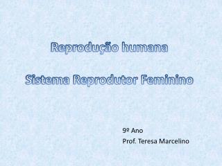 Reprodução humana Sistema Reprodutor Feminino