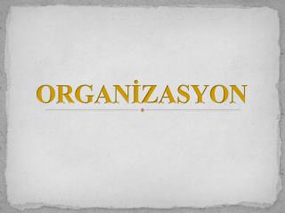 ORGANİZASYON