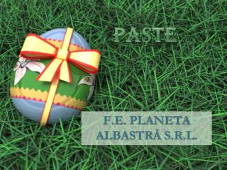 f.e . planeta albastr ă s.r.l .