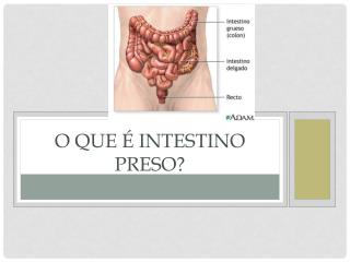 O QUE É INTESTINO PRESO?