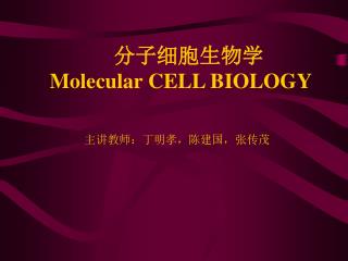 分子细胞生物学 Molecular CELL BIOLOGY