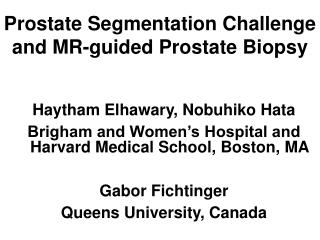 Prostate Segmentation Challenge and MR-guided Prostate Biopsy