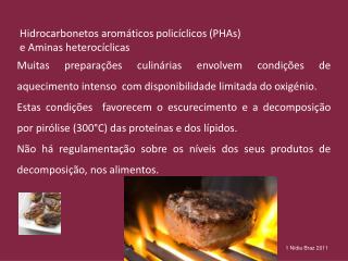 Hidrocarbonetos aromáticos policíclicos ( PHAs ) e Aminas heterocíclicas