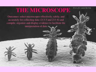 THE MICROSCOPE