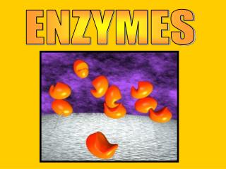 ENZYMES