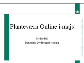 Planteværn Online i majs