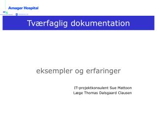eksempler og erfaringer IT-projektkonsulent Sue Mattoon Læge Thomas Dalsgaard Clausen