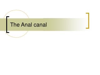 The Anal canal