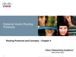 Distance Vector Routing Protocols