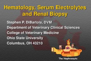 Hematology, Serum Electrolytes and Renal Biopsy