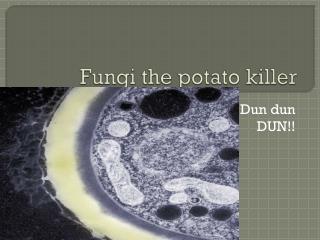 Fungi the potato killer