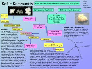 Kefir Kommunity