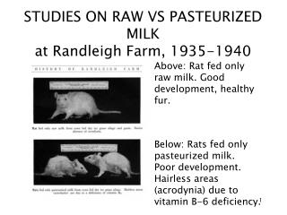 STUDIES ON RAW VS PASTEURIZED MILK at Randleigh Farm, 1935-1940