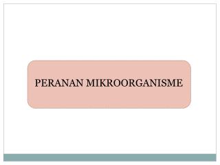 PERANAN MIKROORGANISME