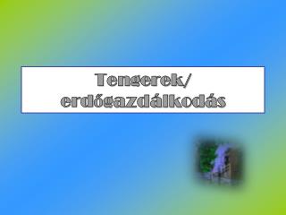 Tengerek/ erdőgazdálkodás