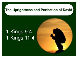 The Uprightness and Perfection of David