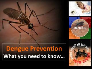 Dengue Prevention What you need to know…