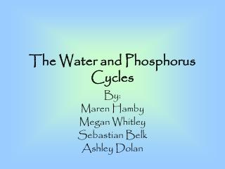 The Water and Phosphorus Cycles