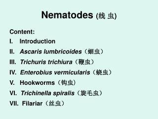 Nematodes ( 线 虫 )