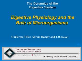 The Dynamics of the Digestive System Digestive Physiology and the Role of Microorganisms
