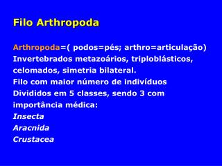 Filo Arthropoda Arthropoda =( podos=pés; arthro=articulação)