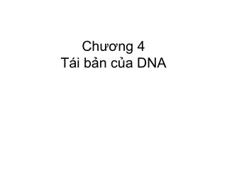 Chương 4 Tái bản của DNA