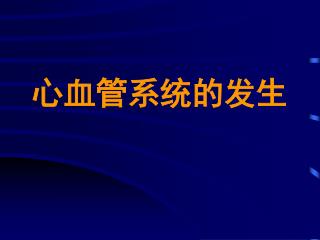 心血管系统的发生