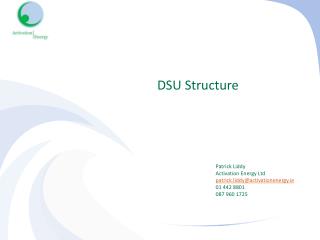 DSU Structure