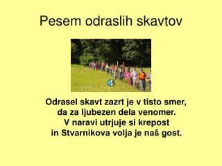 Pesem odraslih skavtov