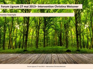 Forum Lignum 27 mai 2013– Intervention Christina Meissner