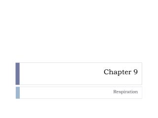 Chapter 9
