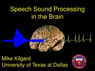 Speech Sound Processing in the Brain