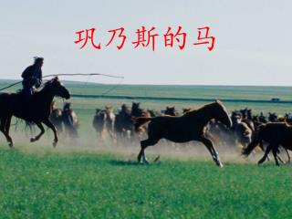 巩乃斯的马
