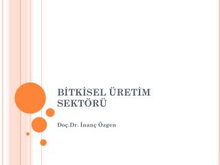 BİTKİSEL ÜRETİM SEKTÖRÜ