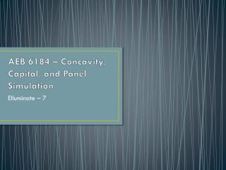 AEB 6184 – Concavity, Capital, and Panel Simulation