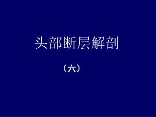 头部断层解剖