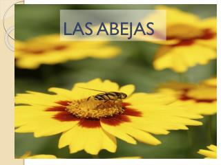 LAS ABEJAS